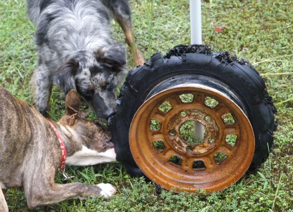 Read more about the article The humble trailer